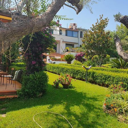 La Capannina Cilento Num 11 호텔 San Marco di Castellabate 외부 사진